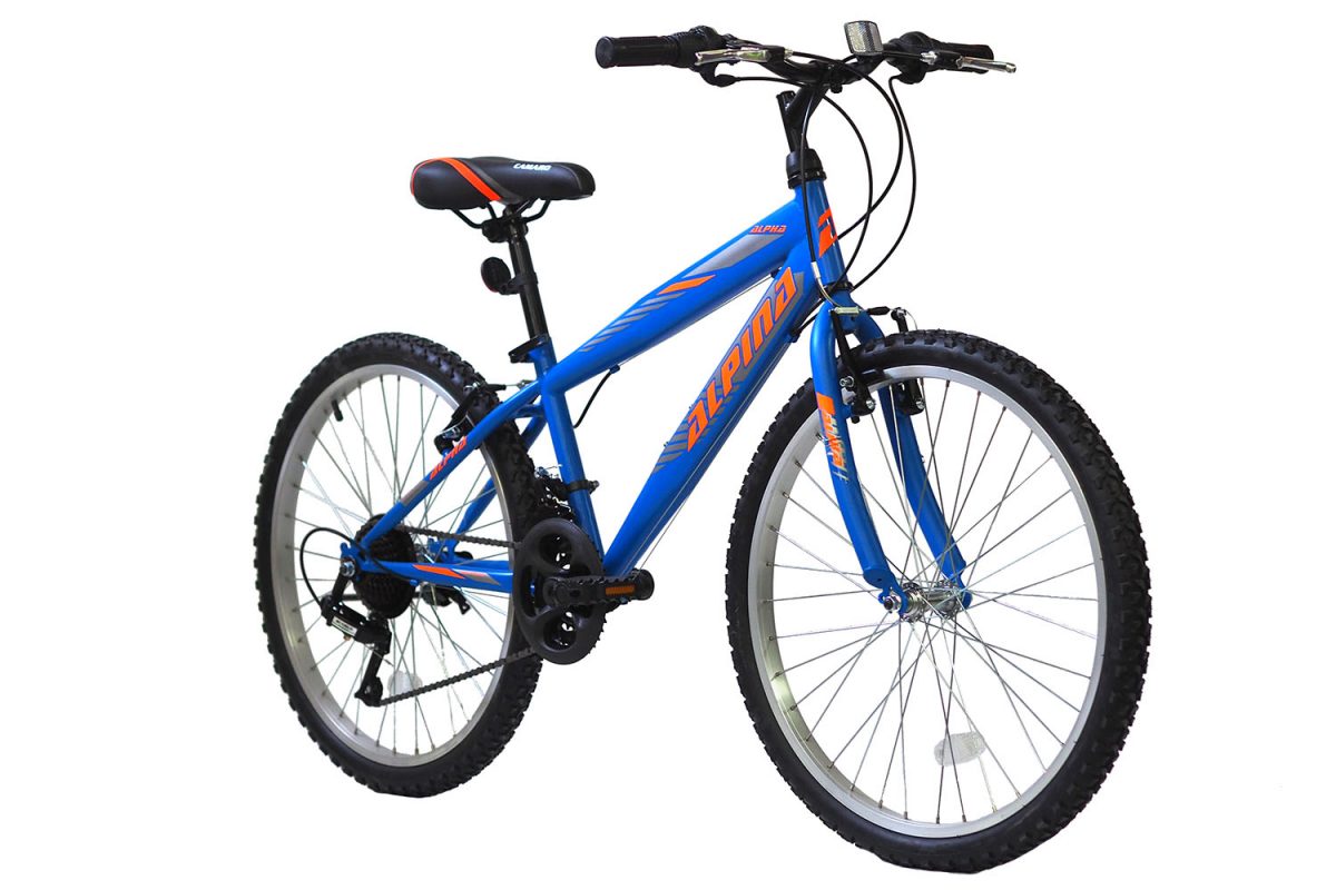 Alpina MTB stathero 24 26 blue orange slide 2